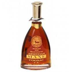 BRANDY MANE 3 ANS 0.5L 