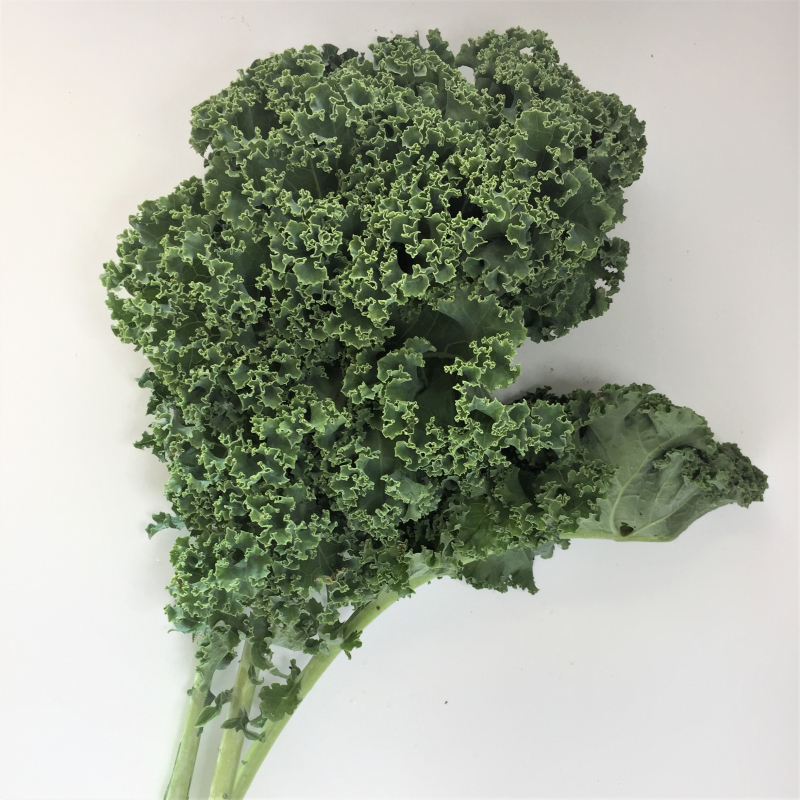 Chou kale en vente direct Agripousse
