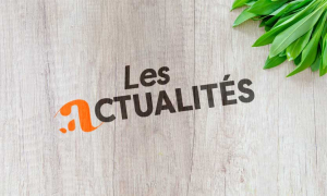 Actualités