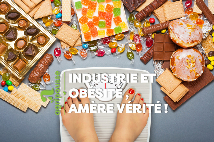 Industrie et obésité, amère vérité !